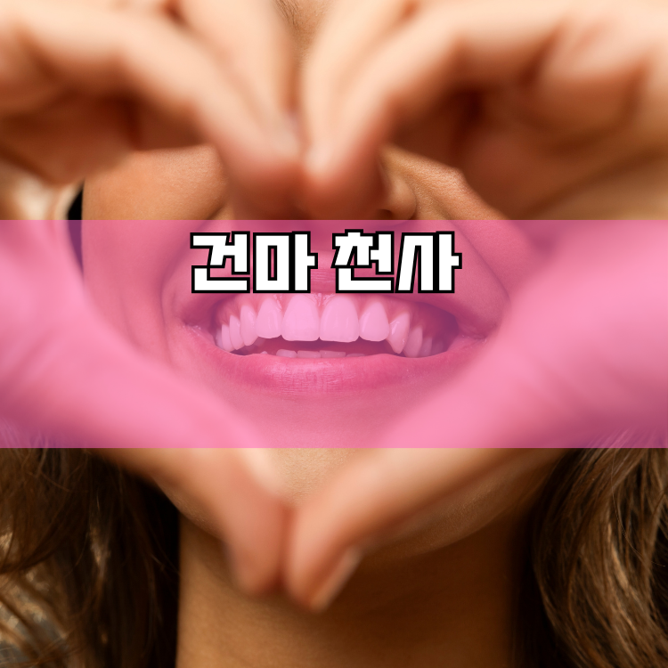 송탄동 경기 지역 안내