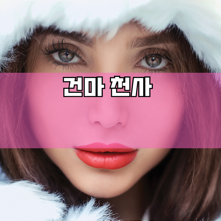 고양시 경기 지역 안내