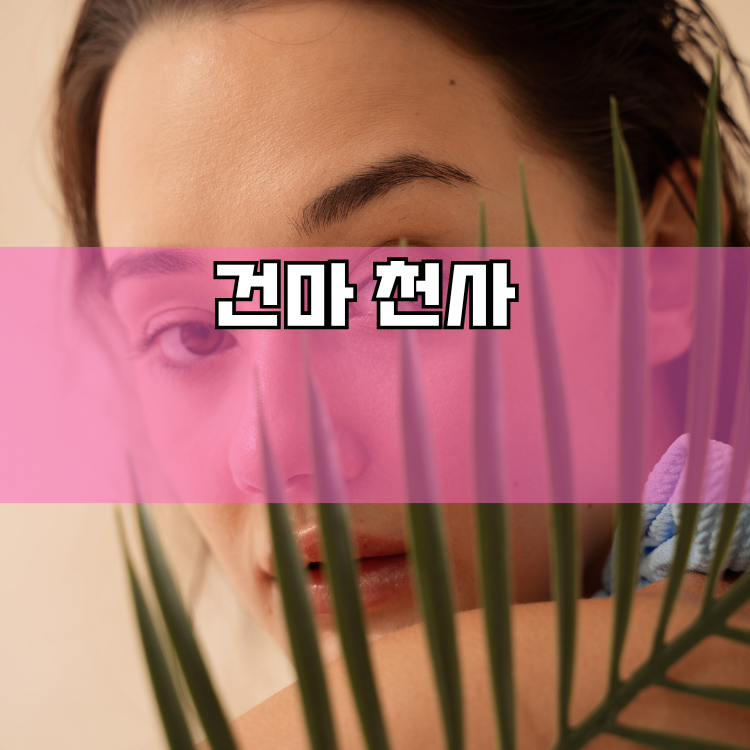 고천동 경기 지역 안내