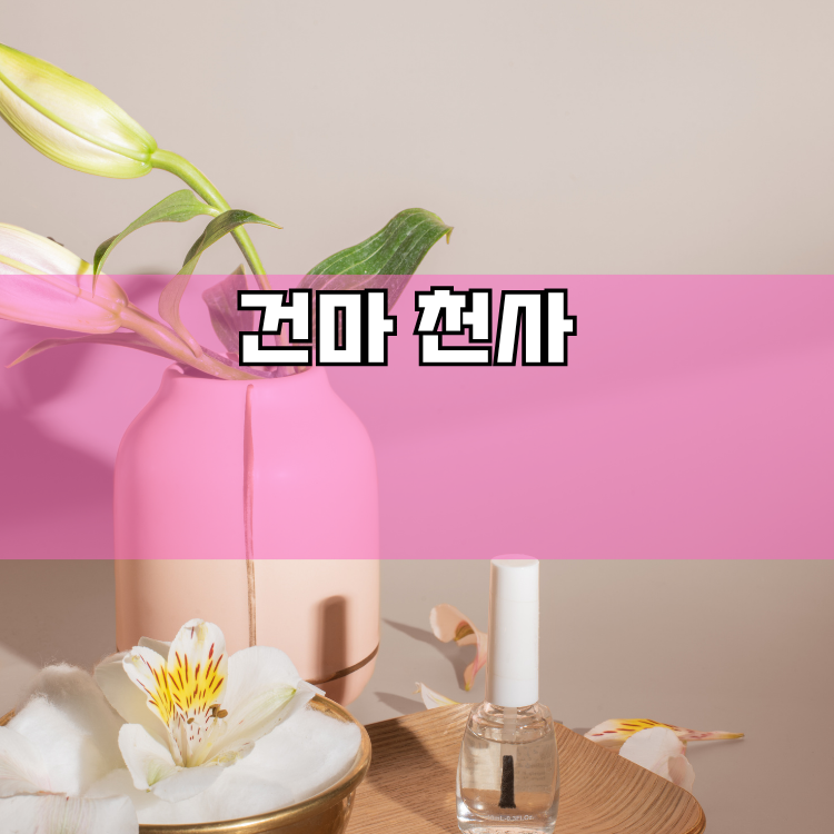 김포시 경기 지역 안내
