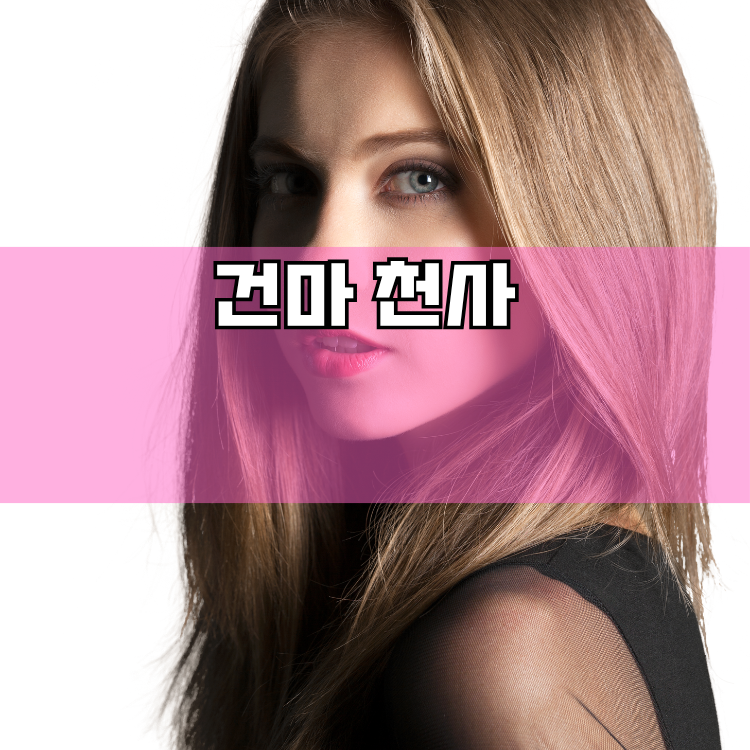 월곶면 경기 지역 안내