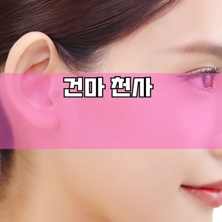 안성시 경기 지역 안내