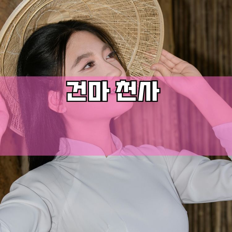 연천군 경기 지역 안내
