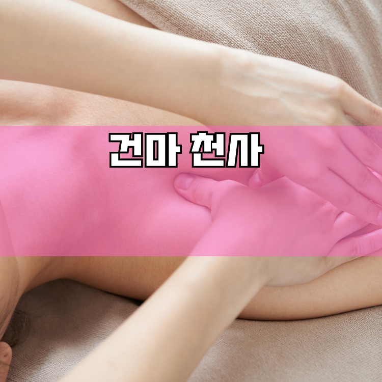 중리동 경기 지역 안내