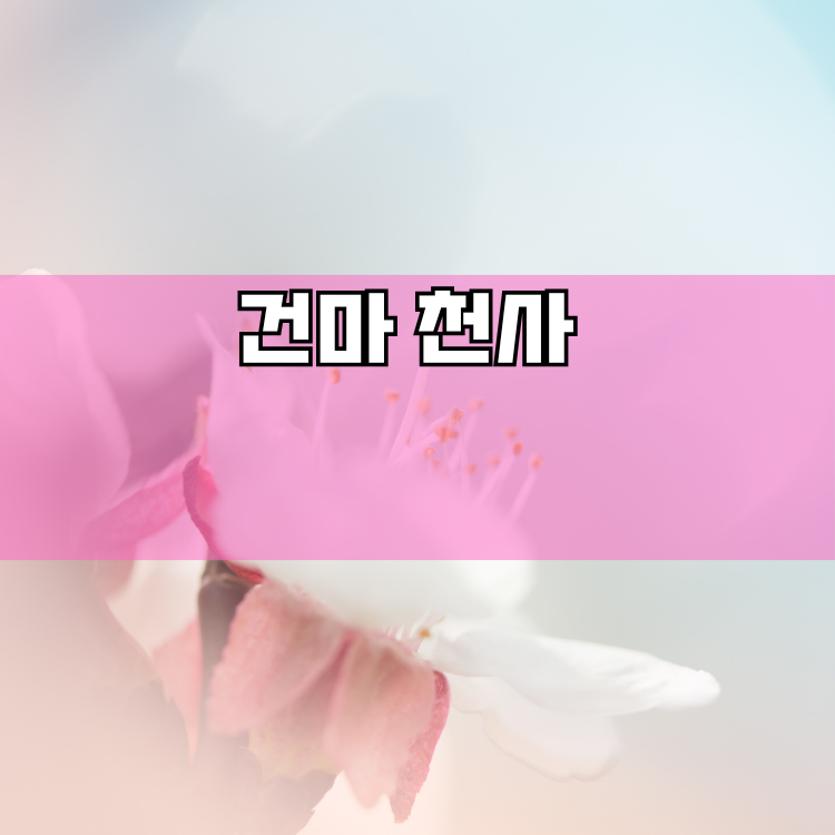 용인시 경기 지역 안내